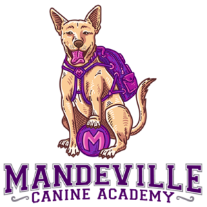 Mandeville Canine Academy